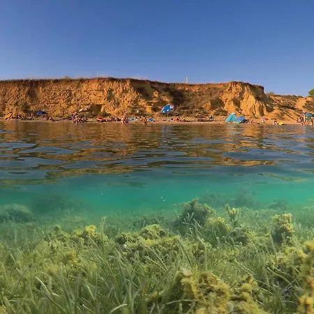 Two-bedroom In Privlaka